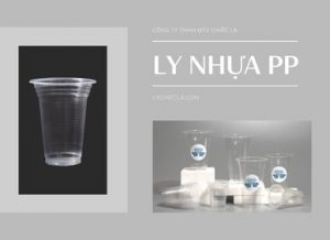 Quy trình tạo ra ly nhựa pp cao cấp tại Ly Chiếc Lá (Ly Thải Hồng)
